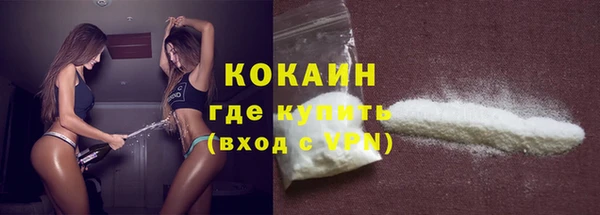 PSILOCYBIN Аркадак