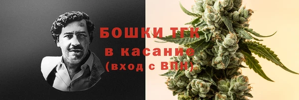 PSILOCYBIN Аркадак