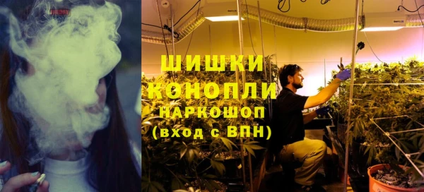 PSILOCYBIN Аркадак
