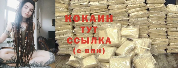 PSILOCYBIN Аркадак