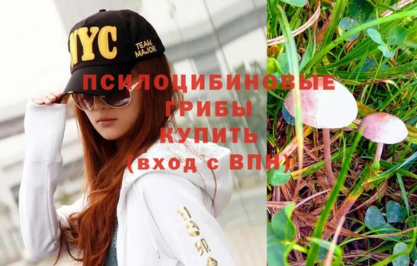 mix Армянск