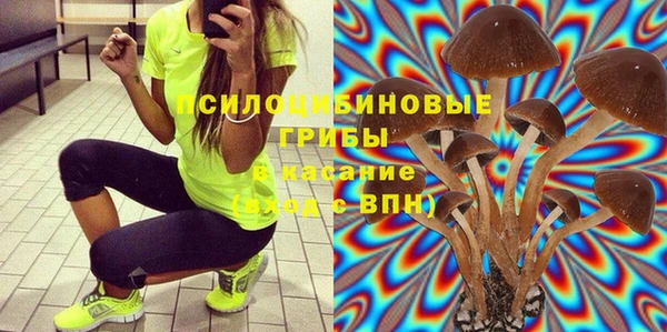 PSILOCYBIN Аркадак